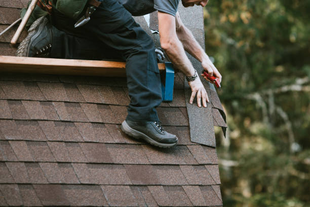 Best Roof Gutter Cleaning  in Keaau, HI
